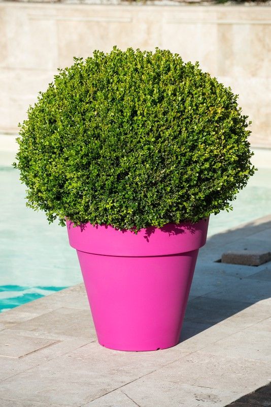 Tiesto de resina Pegasus 80x62 cm