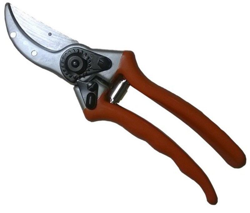 Tijera de podar tradicional - profesional - 21.5 cm