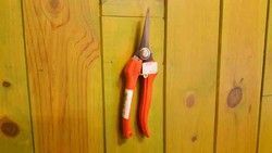 Tijera para vendimia y recoleccion