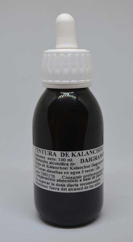 Tintura Kalanchoe Daigremontiana 100ml Pamies Vitae