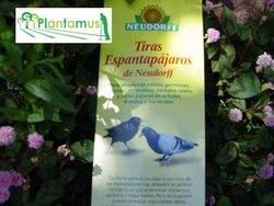 Tiras espantapájaros ecológicas, ahuyenta pájaros