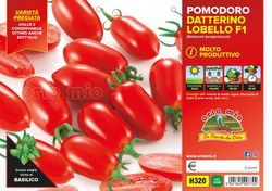 Tomate Adatilado Lobello 6 Plantas En Pack