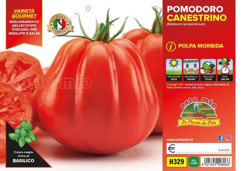 Tomate Canestrino LU 6 Plantas En Pack
