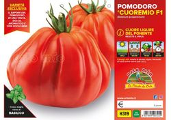 Tomate Corazón de Buey Courbenga 6 Plantas en Pack