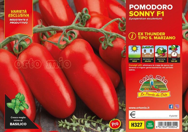 Tomate de Verano San Marzano Corinzio 4 Plantas en Pack