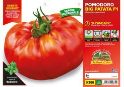 Tomate Kilotto Patatero Gigante 6 plantas en pack