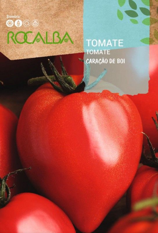 Tomate (Lycopersicon esculentum) Corazon de buey