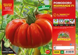 Tomate Marmande 6 Plantas En Pack