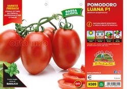 Tomate Ovalado Luana 6 Plantas en Pack
