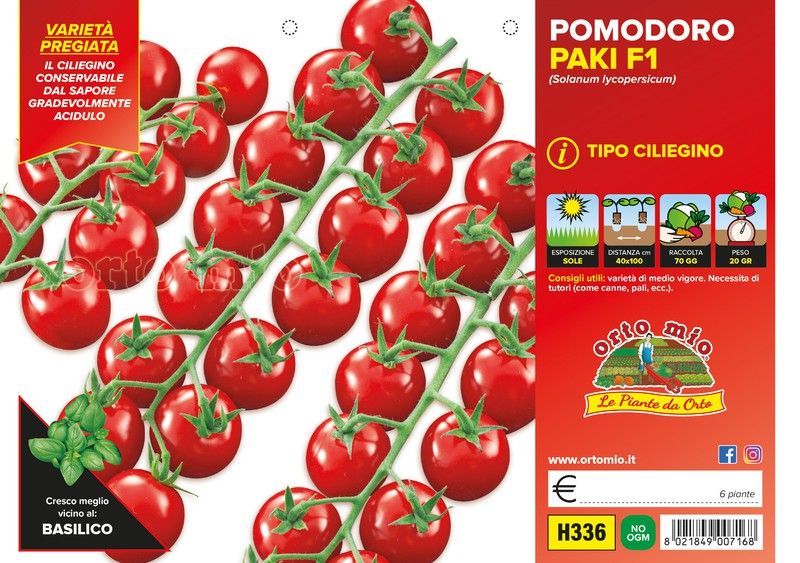 Tomate Paki Cereza 6 Plantas En Pack