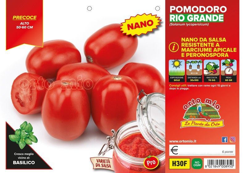 Tomate Rio Heiz 6 Plantas en Pack