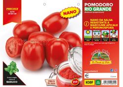Tomate Rio Heiz 6 Plantas en Pack