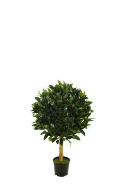 Topiari Bola Laurel 50cm Verde