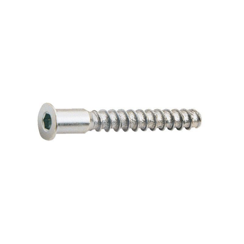 Tornillo ensamblar EHS Tornillo Ensamblar 5X50Mm Pav. 6U.Ehs