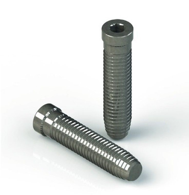 Tornillo fijación directa bis.domina 12x55mm