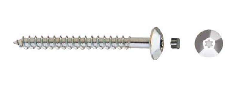 Tornillo Inviolable - DIN INV-TIC Zincado.