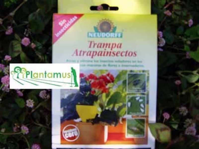 Trampa atrapa insectos ecológicas, cebo insectos natural