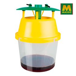 Trampa avispa velutina (asiática) massó