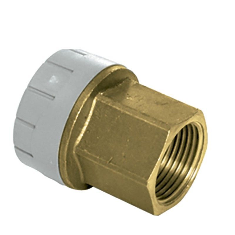 Tubería y accesorios polibutileno ST. HIDRÁULICA Polyplumb Manguito H Rosca H Polibutileno 15-1/2"