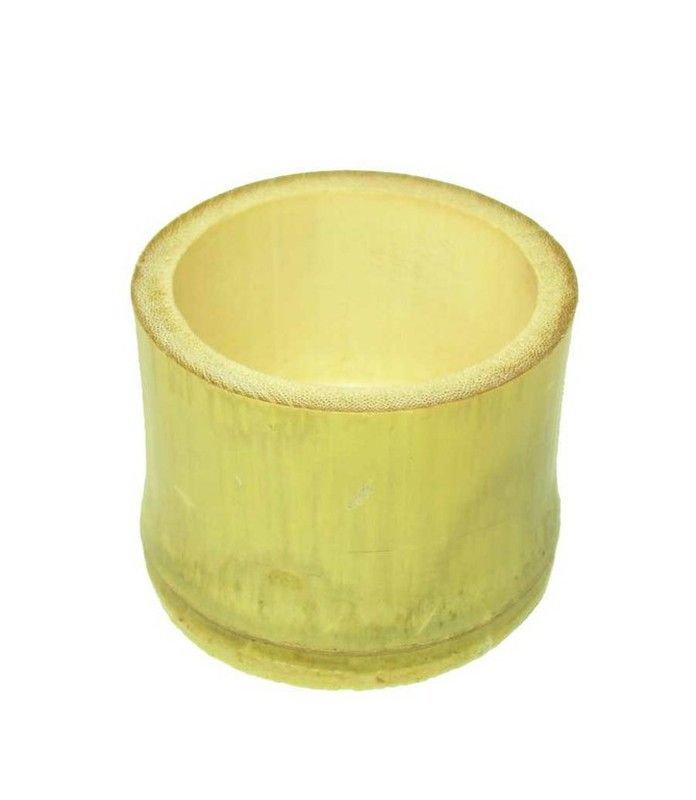 Tubos cortos (20 u.)