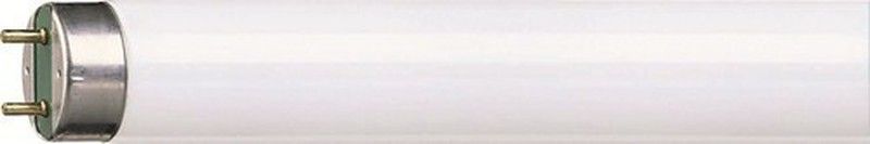 Tubos fluorescentes philips