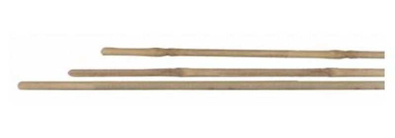 Tutor de bambú natural