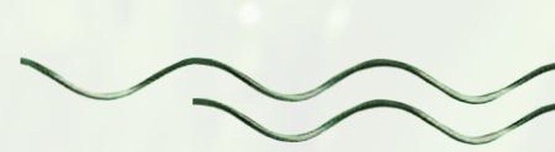 Tutor de tomatera en espiral