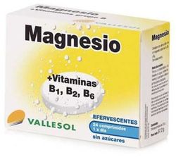 Vallesol Magnesio+B 24comp Efe