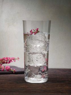 Vaso Savage HighBall 33