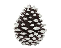 Vela en forma de piña dia10.20-H12.20cm color brown