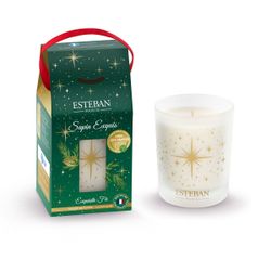 Vela Perfumada 180 grs Navidad Abetos y Bosque Esteban Paris