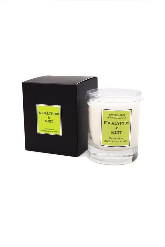 Vela Santiago 50horas. Eucalyptus & Mint. Colección Santiago CERERIA MOLLA 1899.