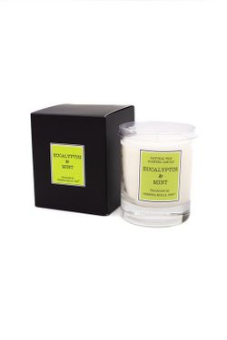 Vela Santiago 50horas. Eucalyptus & Mint. Colección Santiago CERERIA MOLLA 1899.