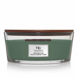 Vela Woodwick Ellipse Grande Mint Leaves & Oak Mecha de Madera
