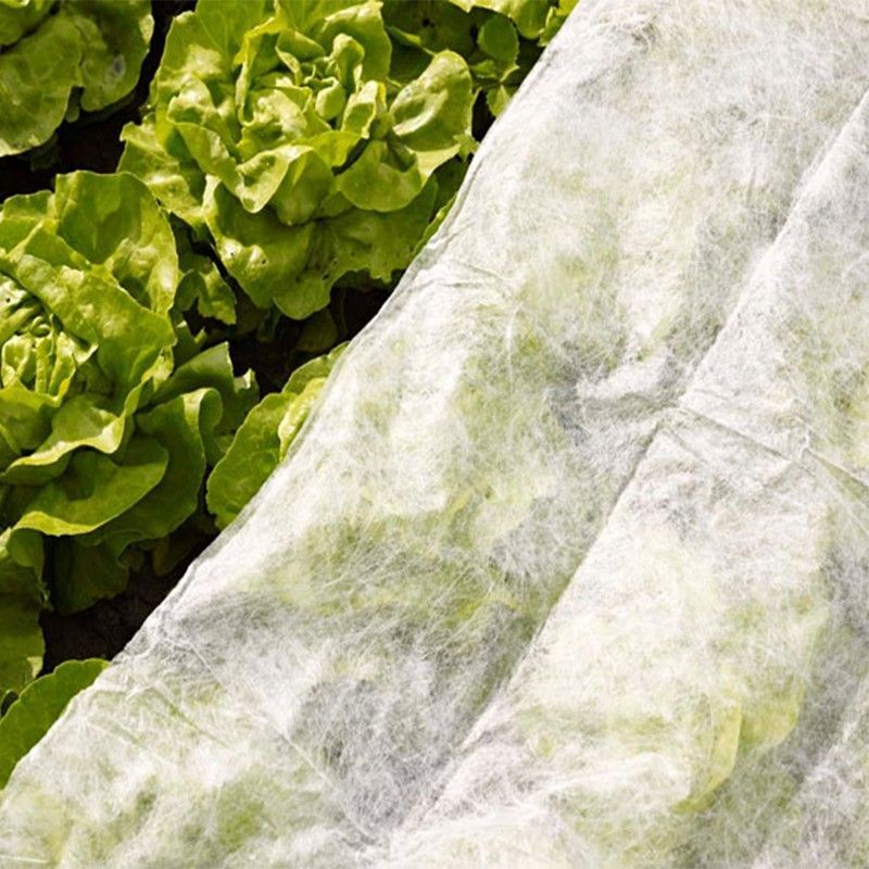 Velo de hibernación, malla protectora para plantas