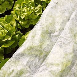 Velo de hibernación, malla protectora para plantas