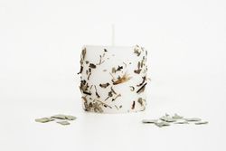 Velon Hierbas Medicinales Salvia