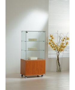 Vitrina 130 x 60 x 40 cm. Buck y 2 estantes