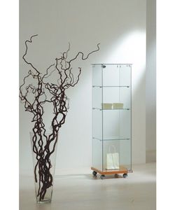 Vitrina 140 x 40 x 40 cm. 3 estantes