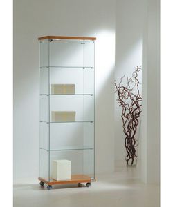 Vitrina 181 x 60 x 40 cm. 4 estantes. Con luz