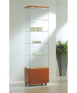 Vitrina 220 x 60 x 40 cm. Buck, 4 estantes y luz