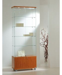 Vitrina 220 x 80 x 40 cm. Buck, 4 estantes y luz