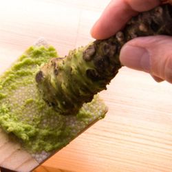 Wasabi Eutrema Japonica