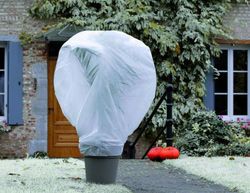 Wintertex 2x10 proteccion antiheladas