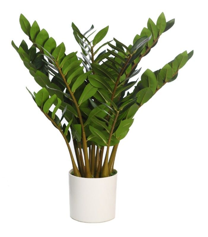 ZAMIOCULCAS ARTIFICIAL EN MACETA 65CM