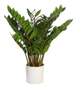 ZAMIOCULCAS ARTIFICIAL EN MACETA 65CM