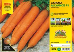 Zanahoria Nantesa Nelson F1 Berlicum 12 Plantas en Pack