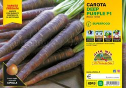 Zanahoria Negra Deep 16 Plantas En Pack