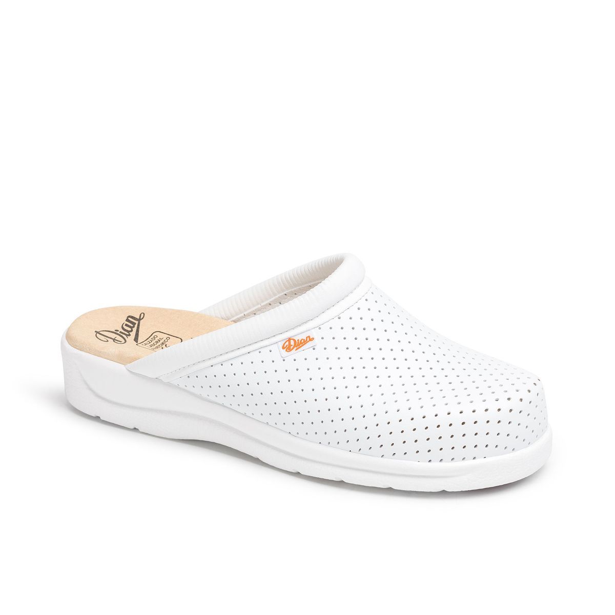 Zapato Dian Pisa colores