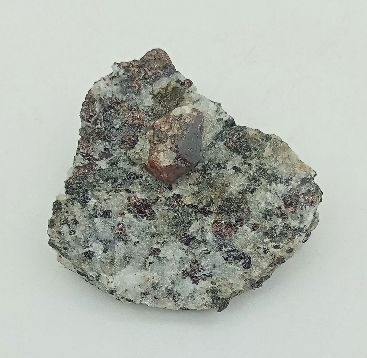 Zircón en Flogopita